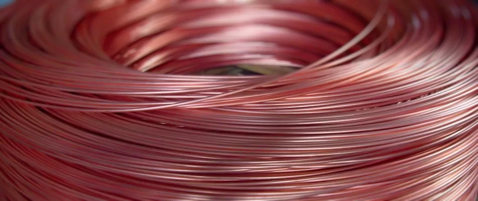 Lietkabelis – Softera.PAYROLL