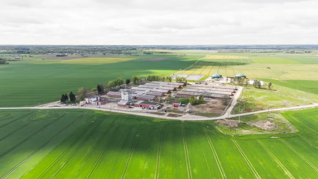 Idavang – sistemos migravimas